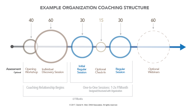 Example Organization Coaching Timeline